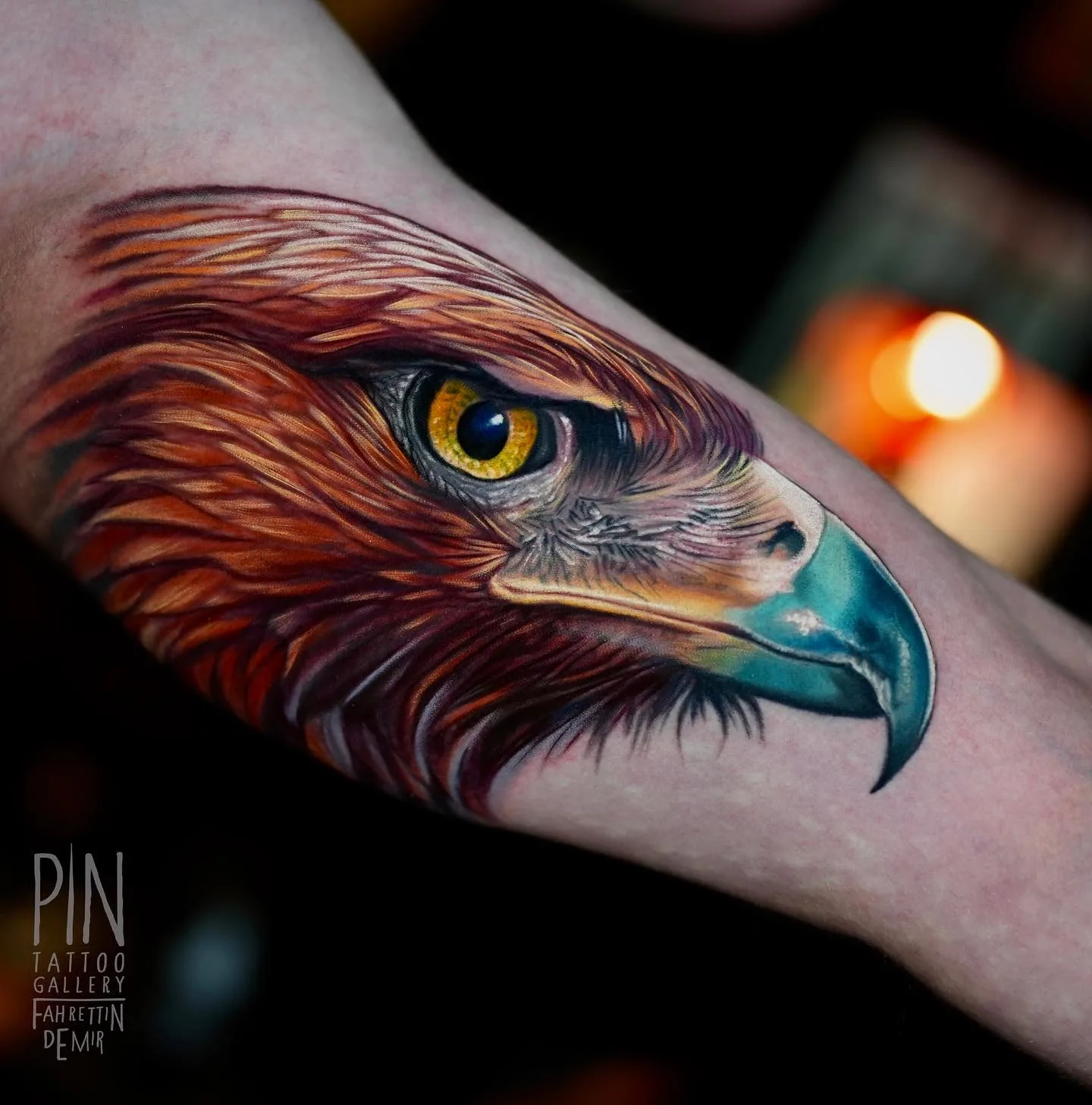 Realistic eagle head tattoo on forearm, detailed feathers and eye.