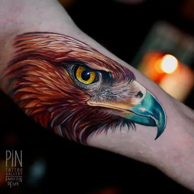 Realistic eagle head tattoo on forearm, detailed feathers and eye.