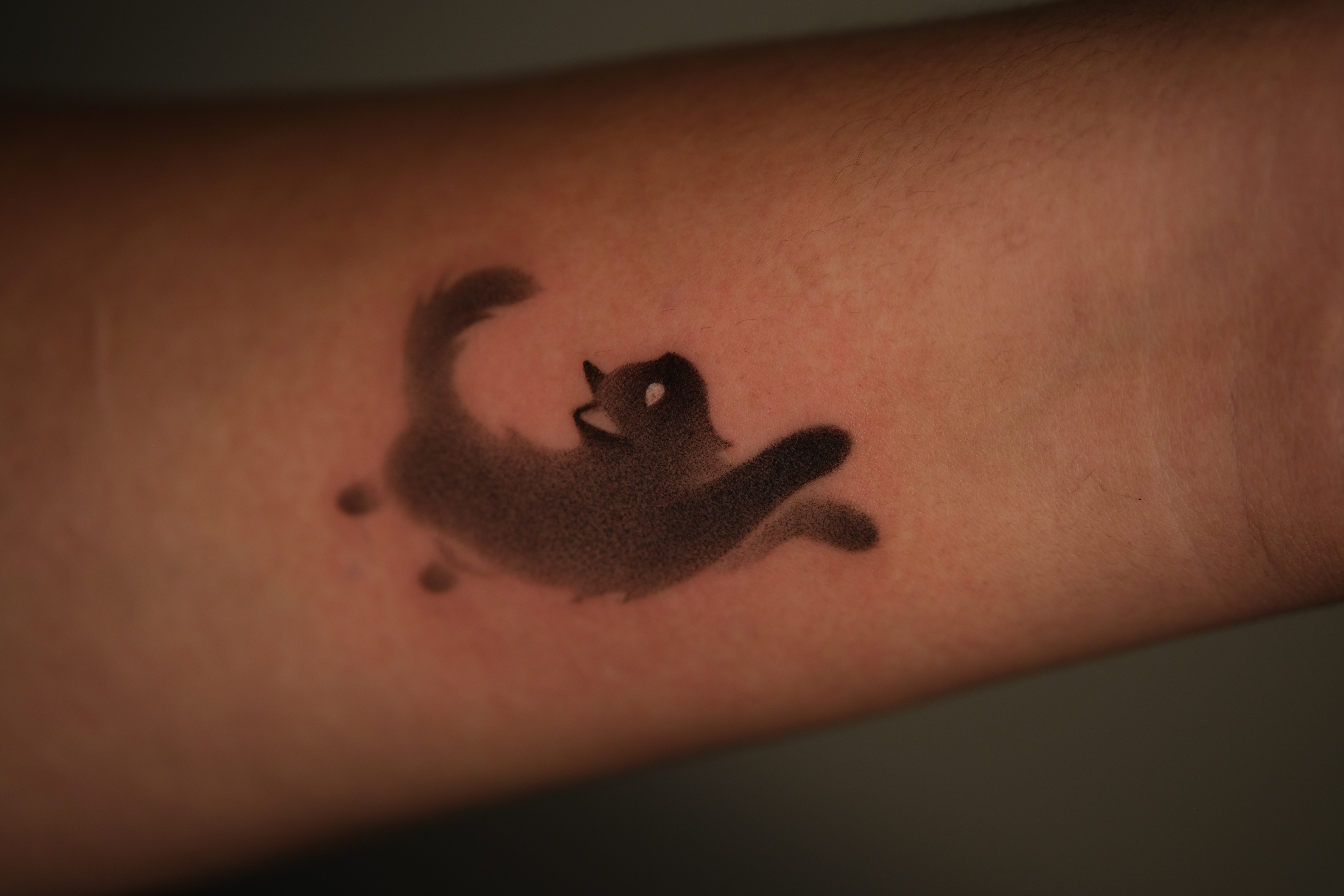 Toki portfolio piece 4