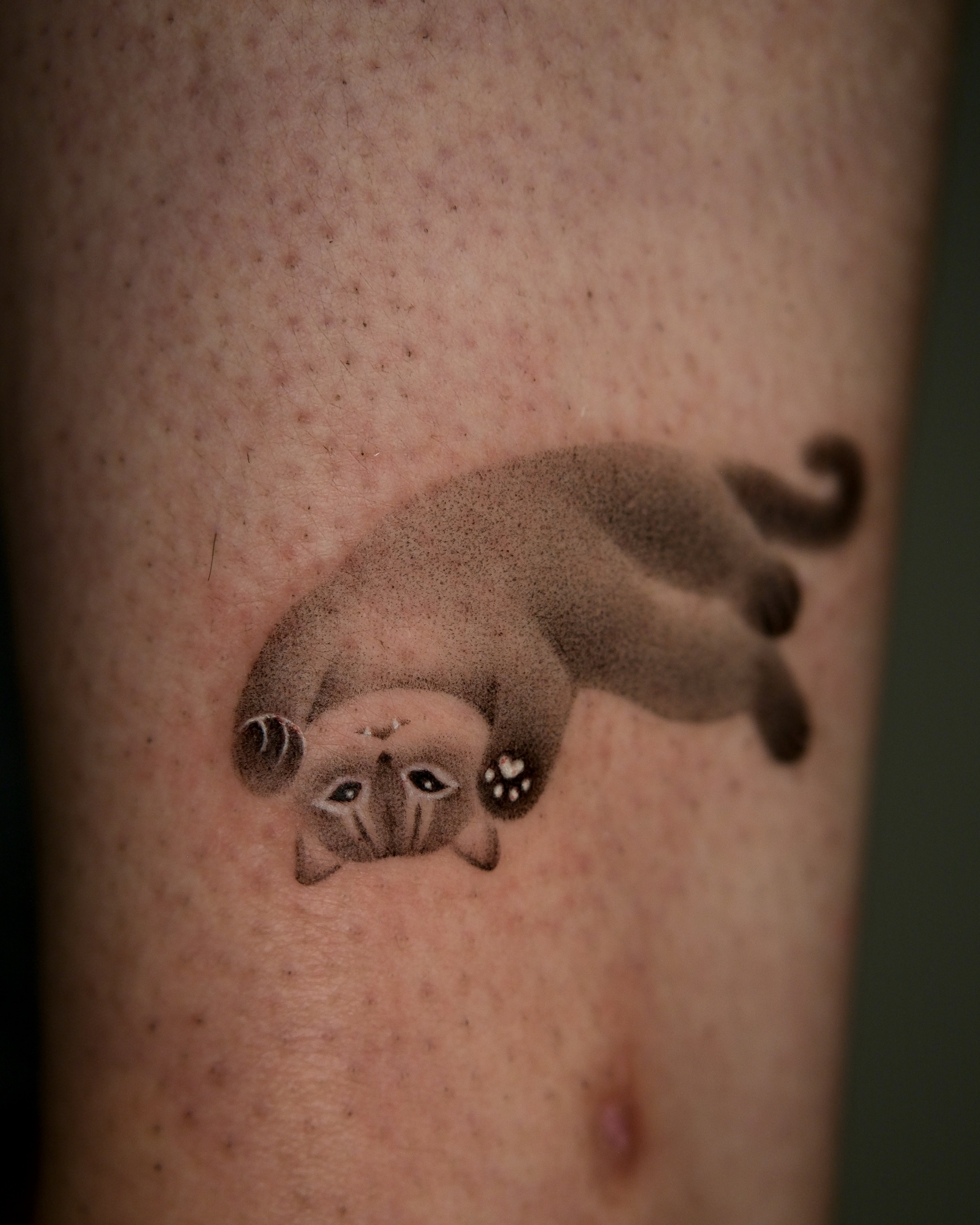 Toki portfolio piece 6