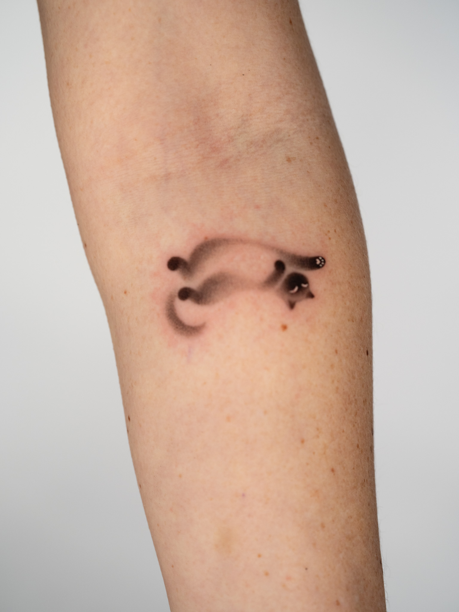 2026-02-28_TOKI_TATTOO (8).jpg