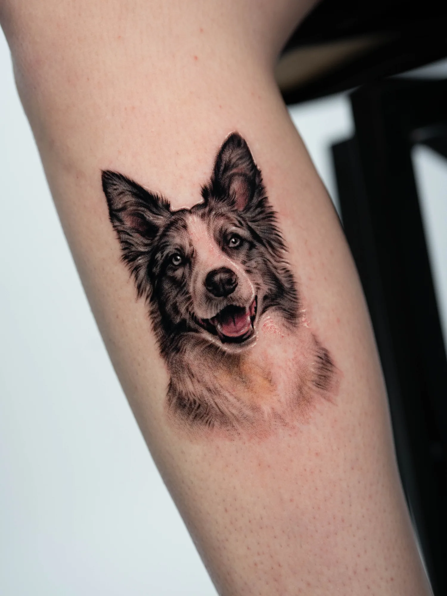 Realistic dog portrait tattoo on leg
