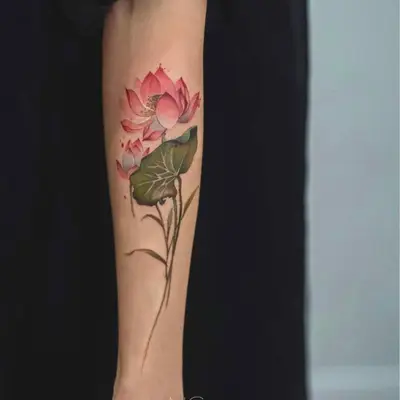 Colorful lotus flower tattoo on forearm