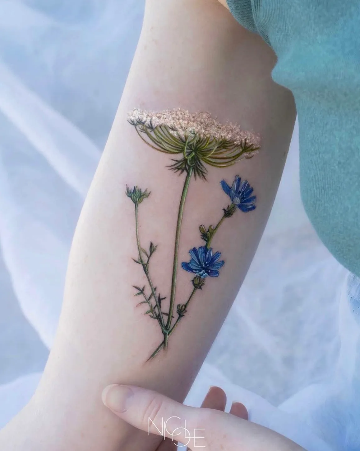Realistic floral tattoo featuring Queen Anne's lace and chicory on an arm.