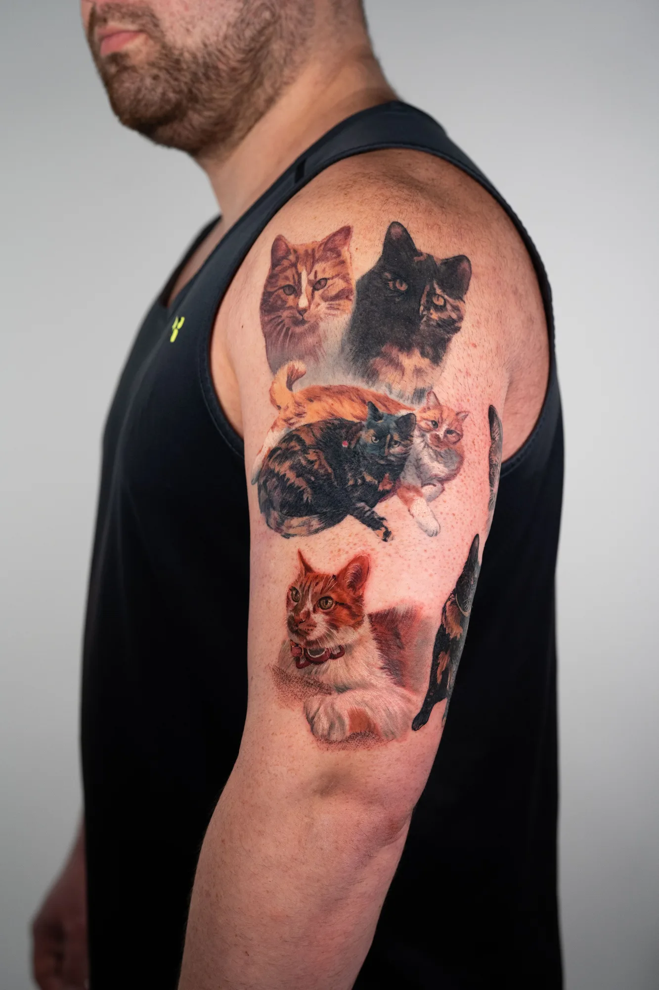 Realistic color tattoo of multiple cats on the upper arm.
