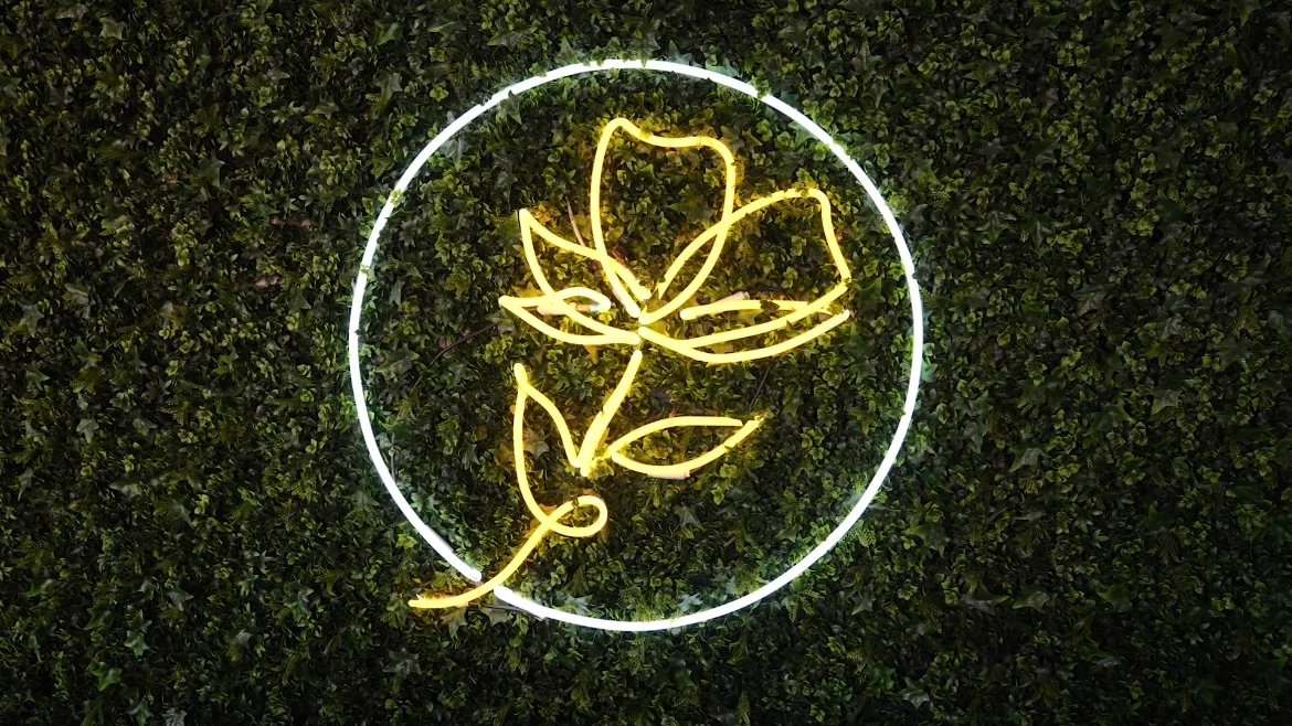 Eden Body Art Studios detail