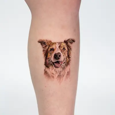 Microrealism tattoo of a dog in color on a lower leg.