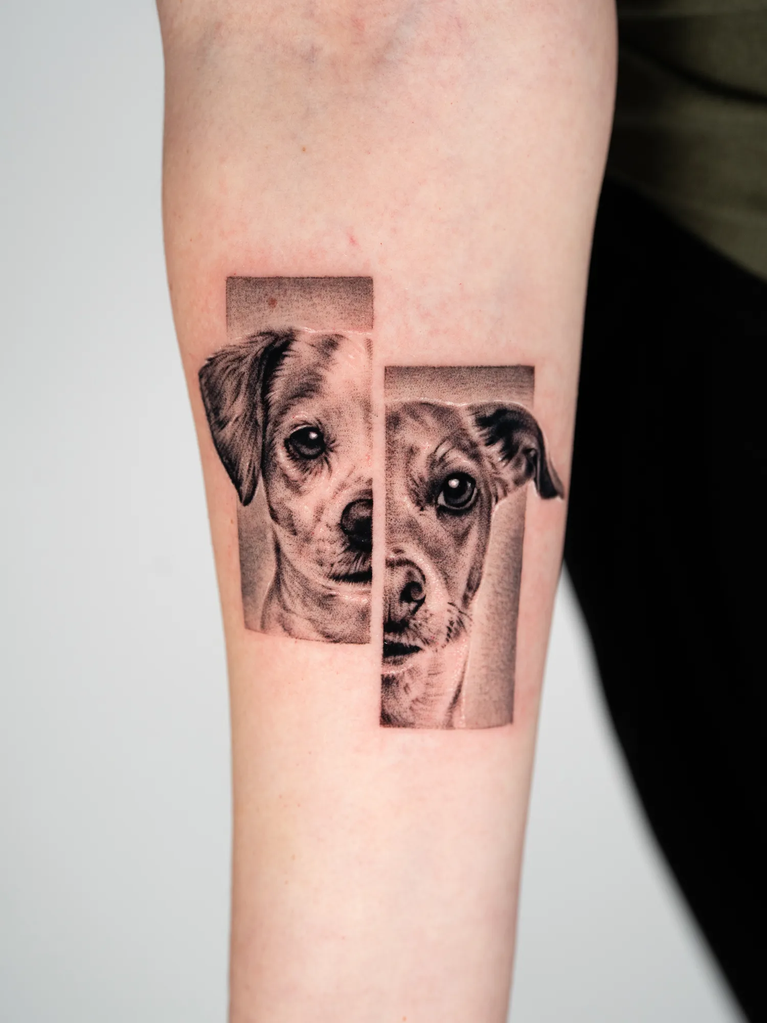 Split panel microrealism tattoo of two dogs.