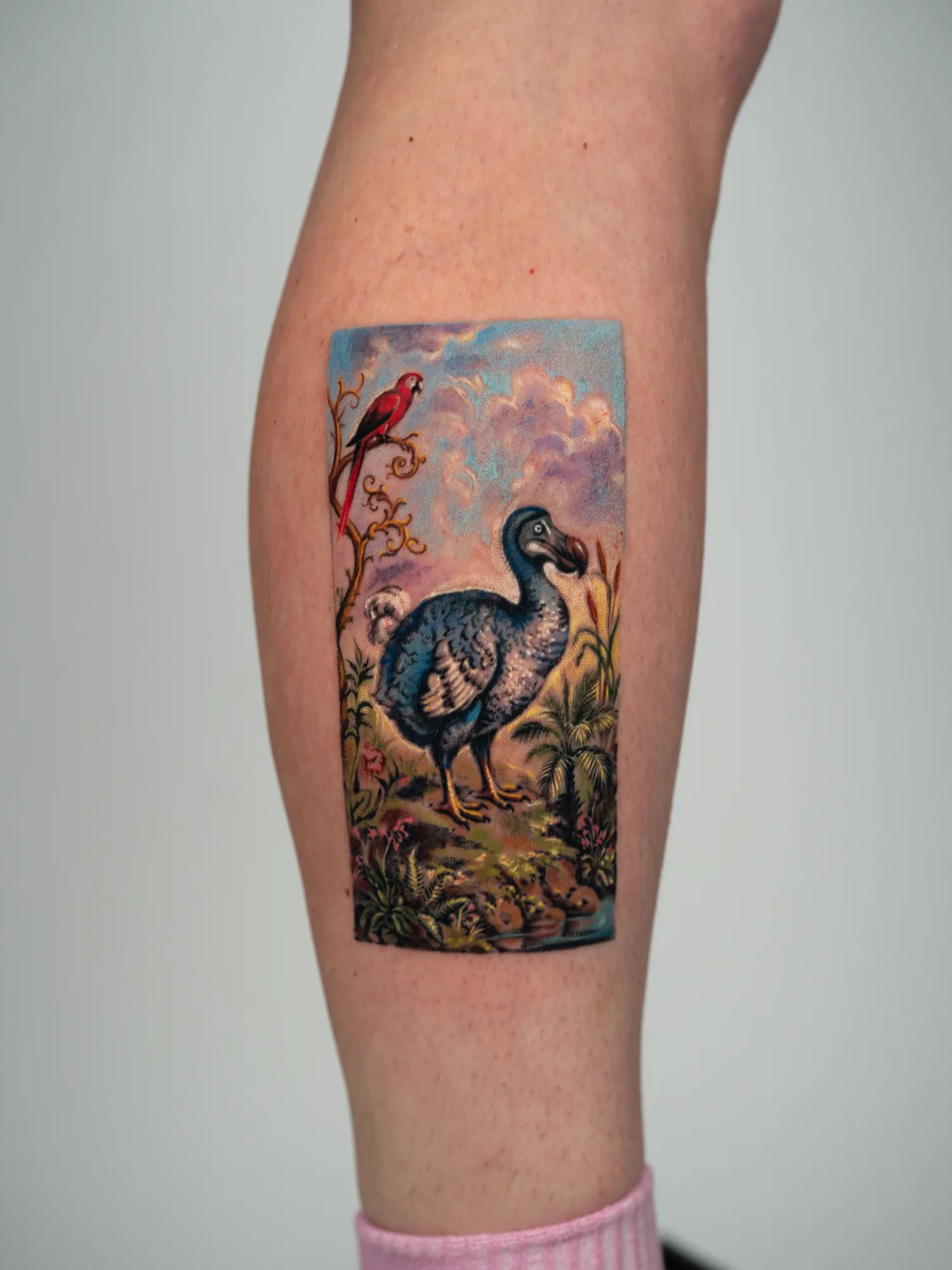 Painting tattoo of a dodo bird in a landscape rendered in microrealism on a calf.