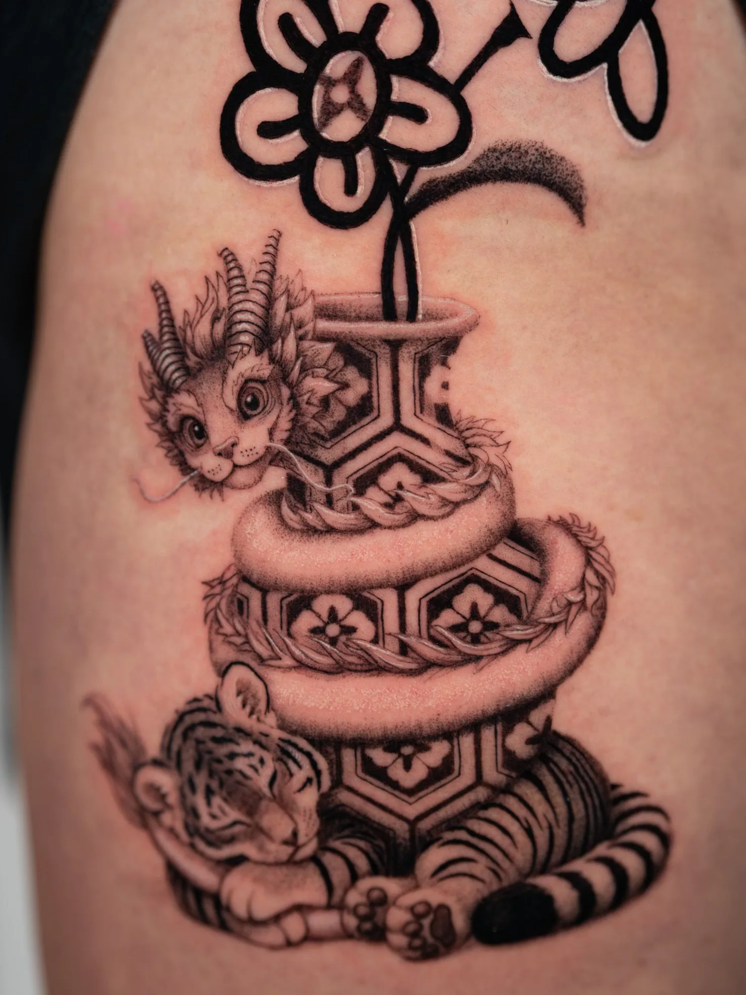 Tiger & Dragon