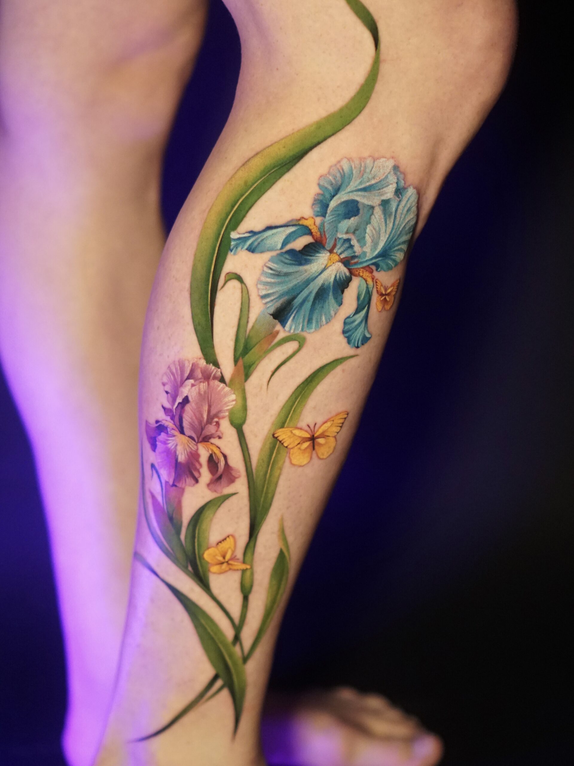 Luiza Fortes portfolio piece 10