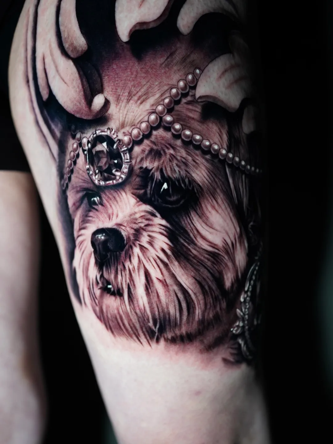 Realistic dog portrait tattoo with pearls and crown detail.