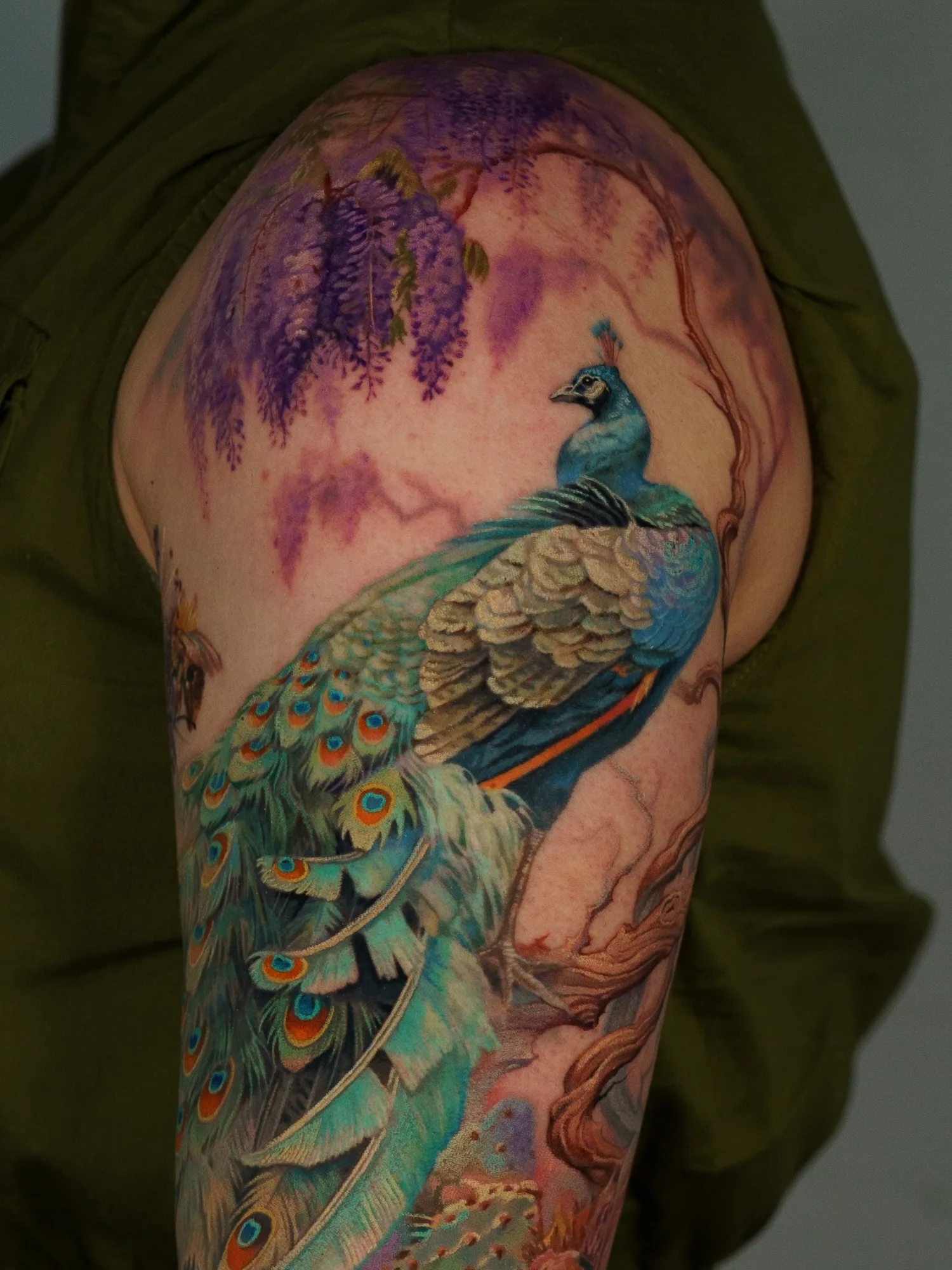 Tattoo of a colorful peacock on upper arm with purple wisteria flowers.