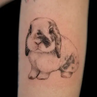 Realistic tattoo of a small rabbit on skin
