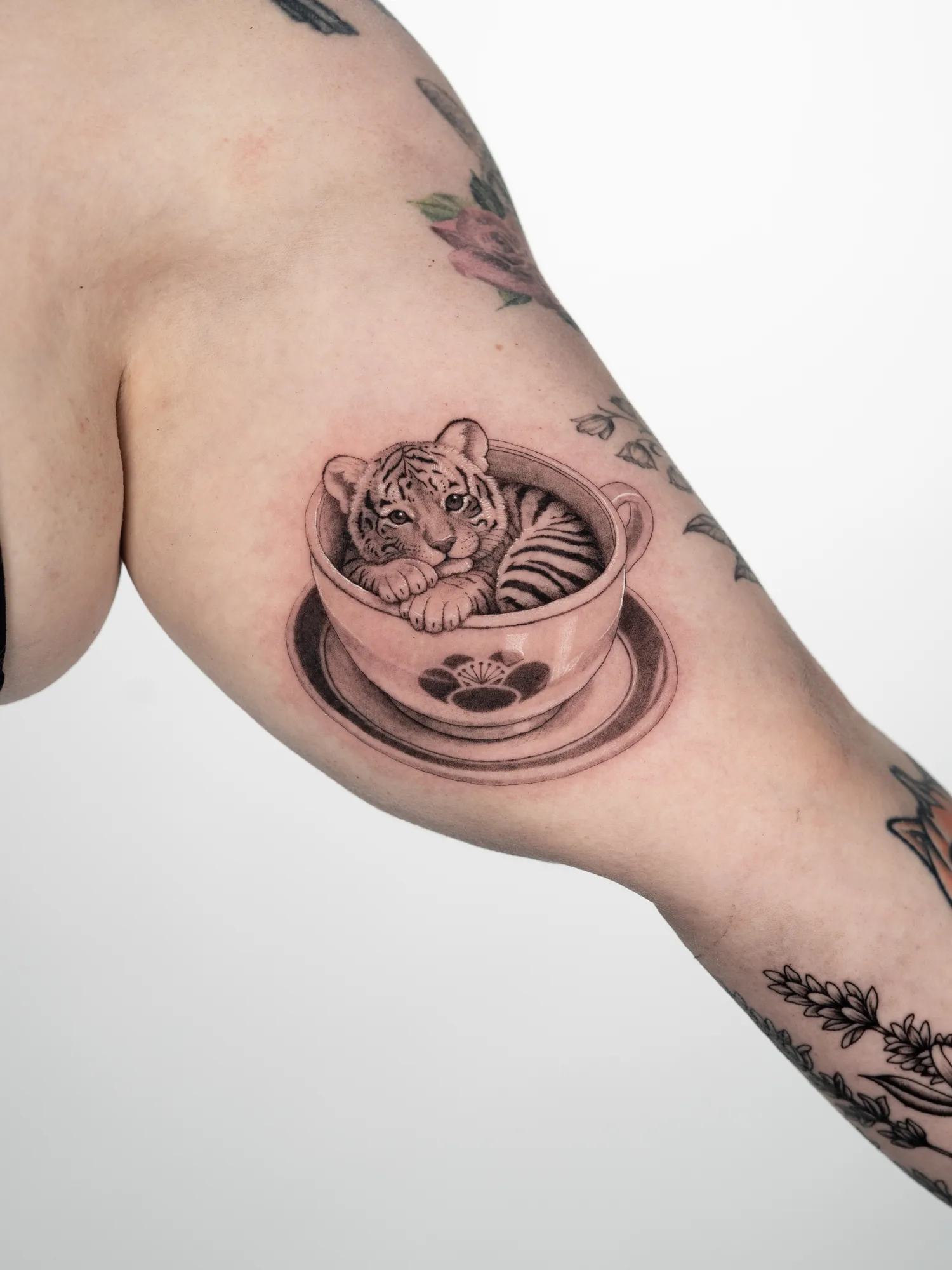 Black and grey tattoo of a tiger cub sitting in a teacup on a saucer, with a paw print on the side of the cup, on an inner bicep.