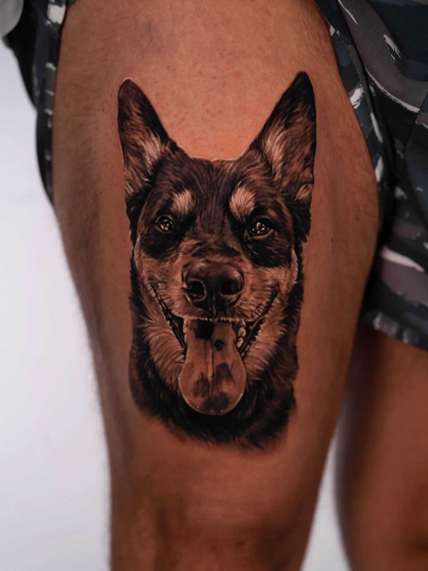 Black and grey realistic portrait of a dog with tall pointed ears and an open-mouthed, tongue-out smile, tattooed on the front of the right thigh.
