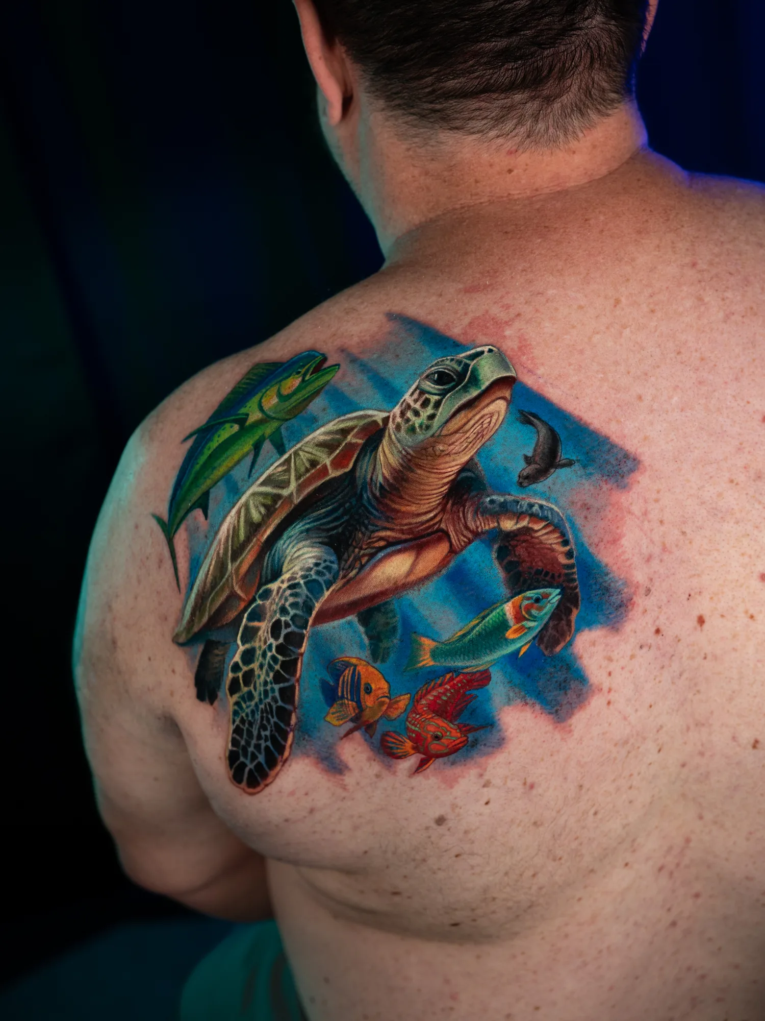 Color realism tattoo on the left shoulder blade of a sea turtle swimming upward through bright blue water with light rays, joined by a mahi-mahi, a small seal and three colorful reef fish.