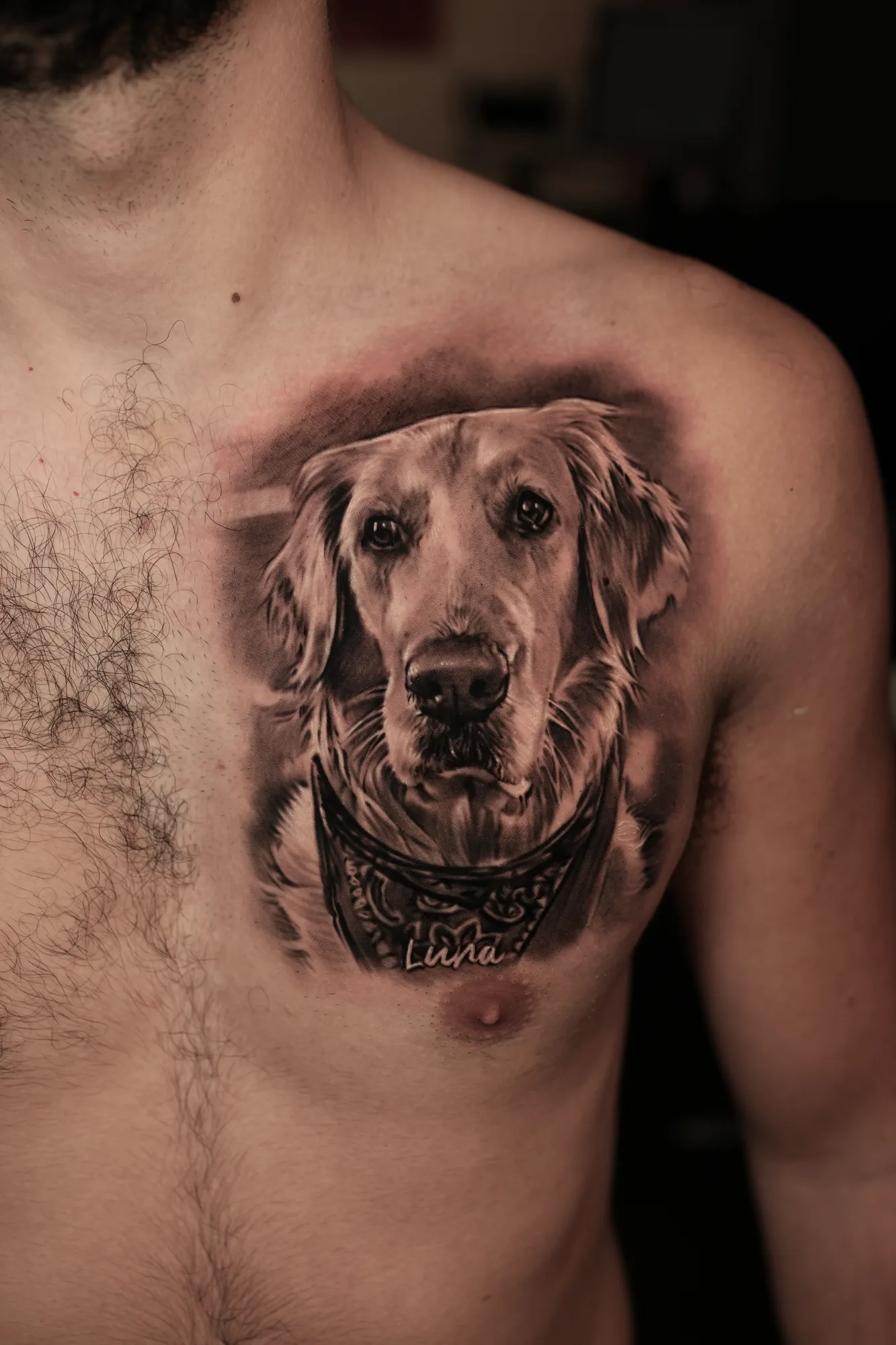 Realistic dog portrait tattoo on chest