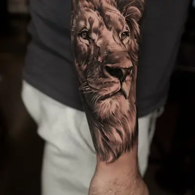 Black and grey realism tattoo of a lion on a forearm.