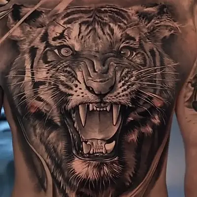 Realistic tattoo of a tiger on a chest, showing a fierce expression.