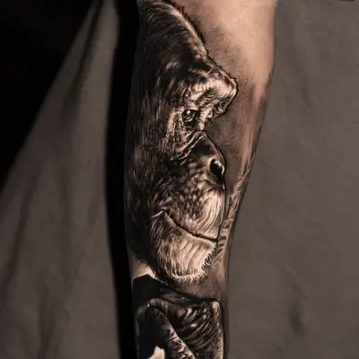 Realistic gorilla tattoo on forearm in black and grey.