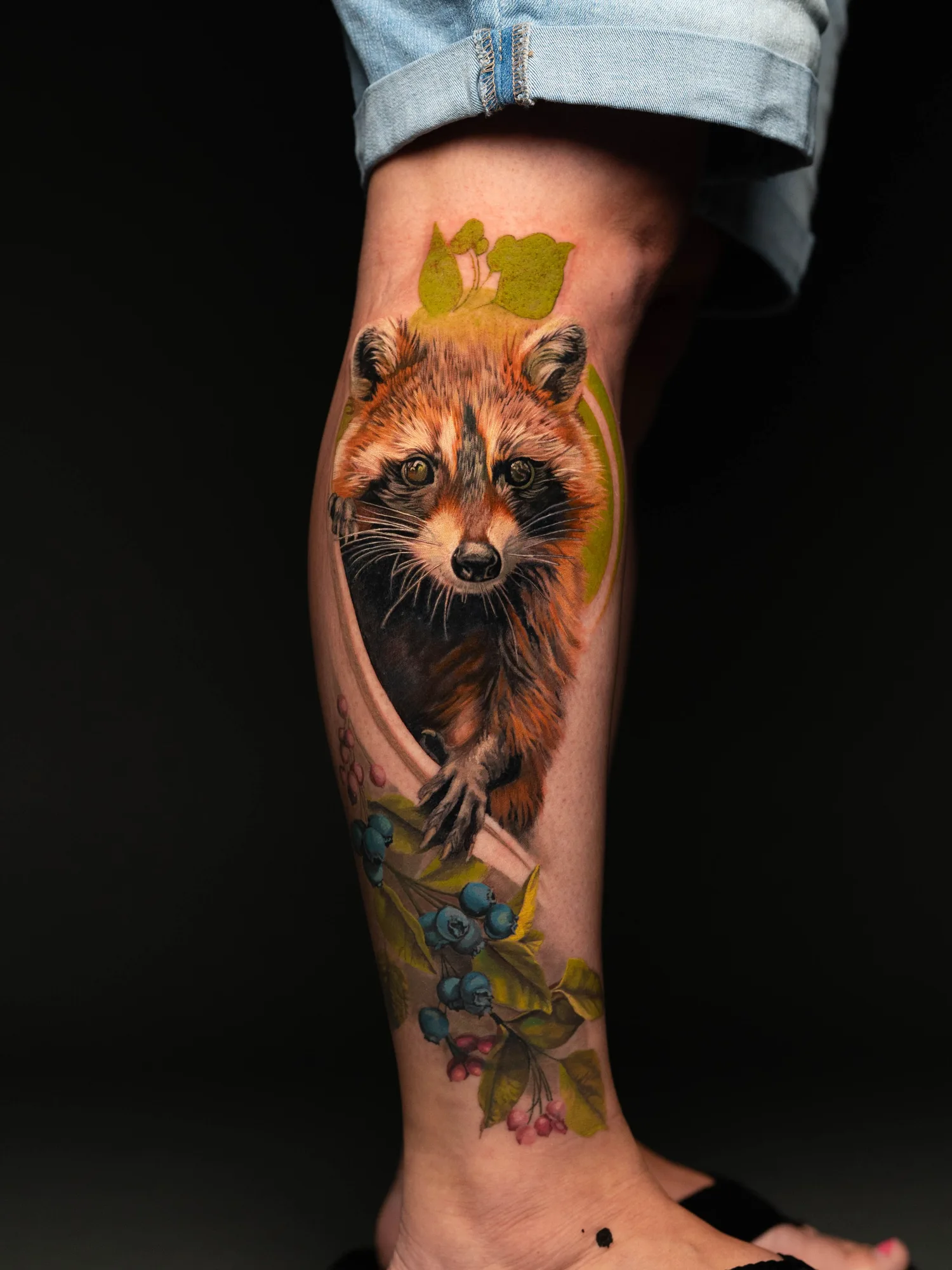 Color realism portrait of a raccoon and blueberries on the lower leg.