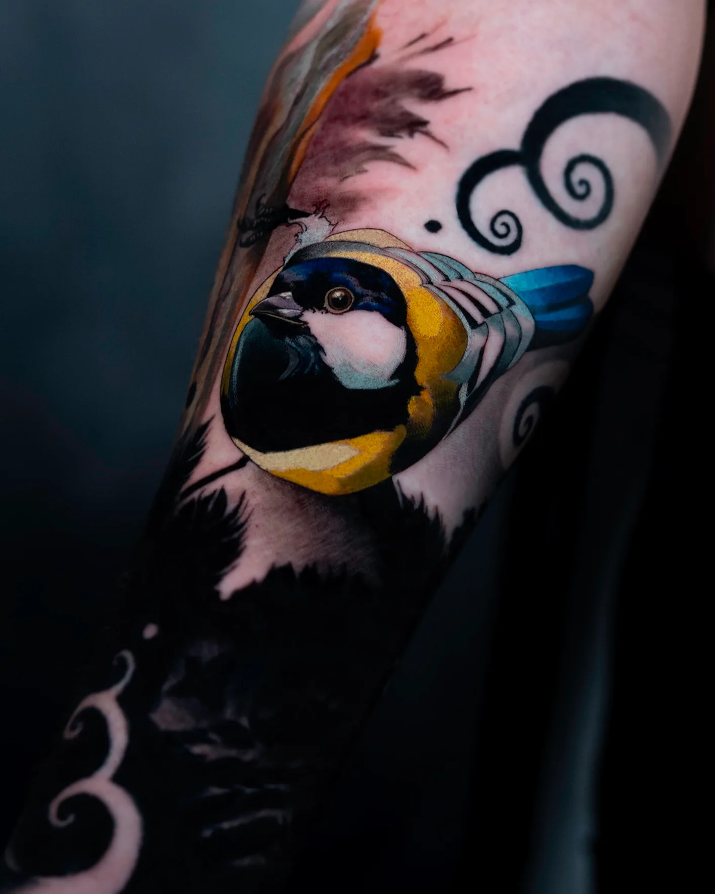 Close-up of a color songbird on a forearm, round body in yellow, navy and white with a bright blue tail, set among black swirls and solid black fill as part of a larger sleeve.