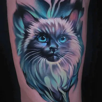 Graphic and realism tattoo of a cat's portrait with blues and greens. 