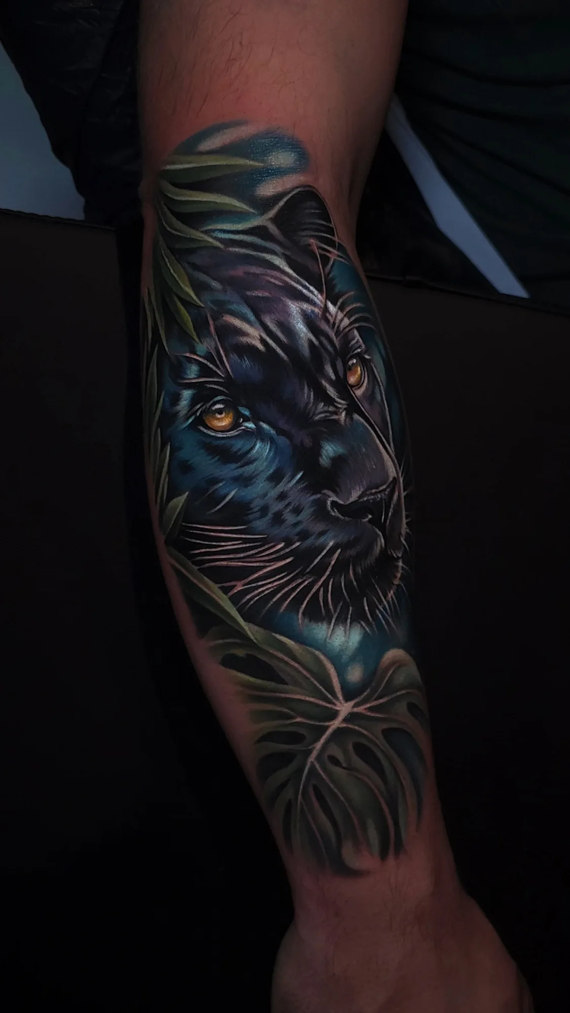 Color neorealist black panther face with amber eyes emerging from dark blue shadows and green jungle leaves, covering the forearm.